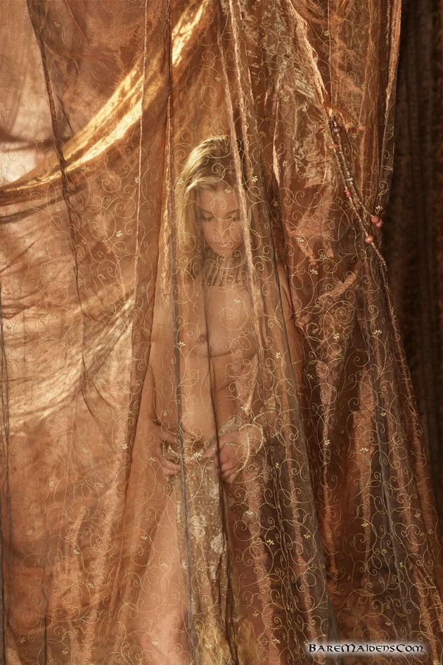 Medieval Nudity, sheer-lingerie_02.jpg